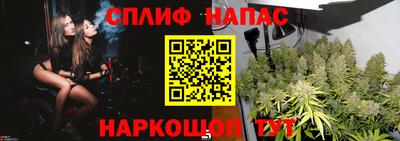 гидра Аргун