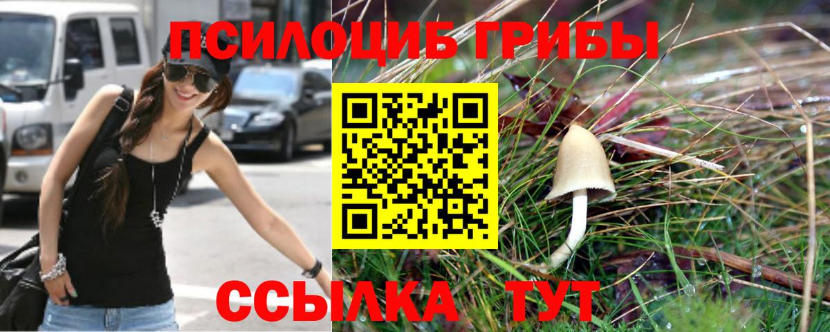 Галлюциногенные грибы мухоморы  Вход с VPN  Владикавказ 